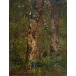 Trees, Undergrowth And A Figure. Paul Sebilleau (1847-1907)