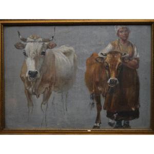 Study Of Cows And A 19th Century Farmer