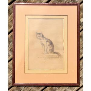 Cat Portrait Drawing By Charles-benoist Cartigny