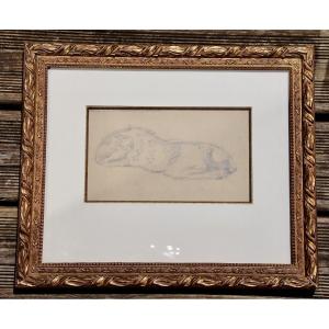 Leopard Drawing By Jane Le Soudier 