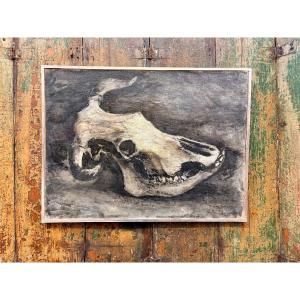 Animal Skull Painting By Pierre Bechon-sauzeau 