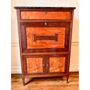 Louis XVI Secretary In Amaranth And Lemonwood 