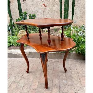 19th Century Tea Table In Exotic Wood