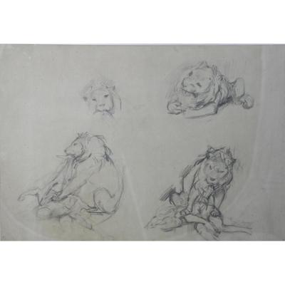 Drawing Of Victor Prouvé "lion Devouring An Antillope"