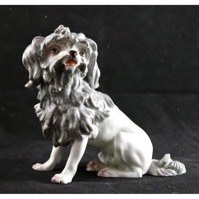 Nineteenth Porcelain Dog From Paris
