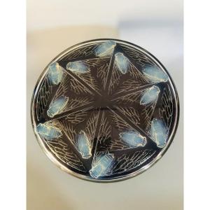 R Lalique Box Cicadas 1921