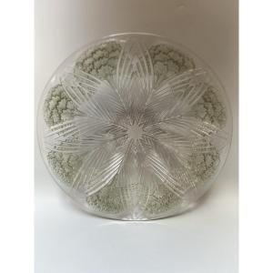 René Lalique Carnation Model Platter Created In 1932