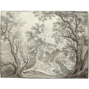 19th Century Northern School. A Path In The Forest.