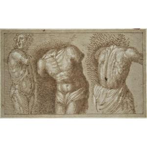 Pseudo-gherardi, 17th Century Italy. Three Bust Studies.