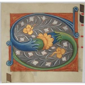 Initial Letter "s" On Parchment, 15th Century.