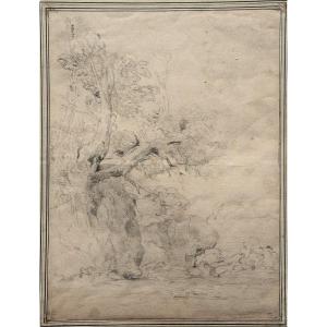 Michel Corneille 1642 - 1708. Landscape With A Tree.