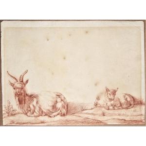 Dutch School, Circa 1700. A Billy Goat And A She-goat.