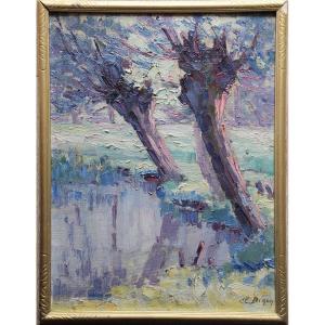 Clémence Biron. Willows At The Edge Of A Pond.