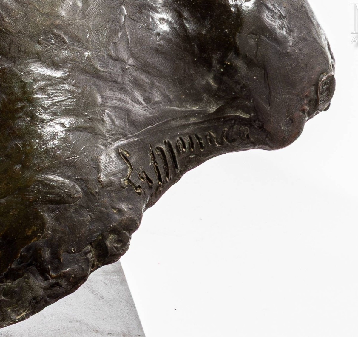 Busto di bronzo Emilia Boldini-photo-2
