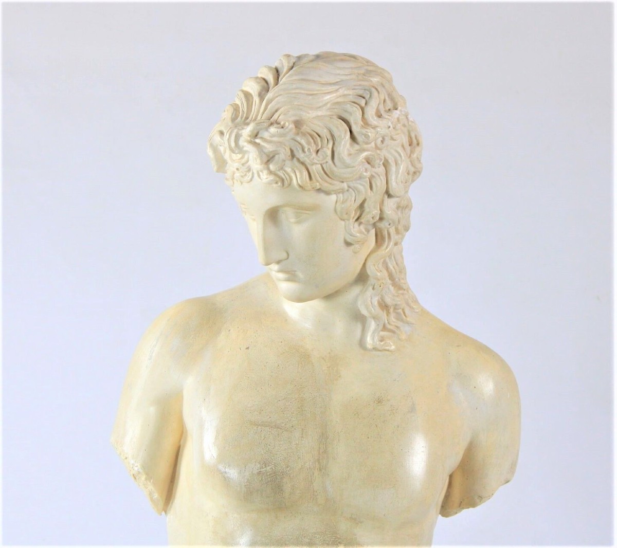 Busto Di gesso-photo-2