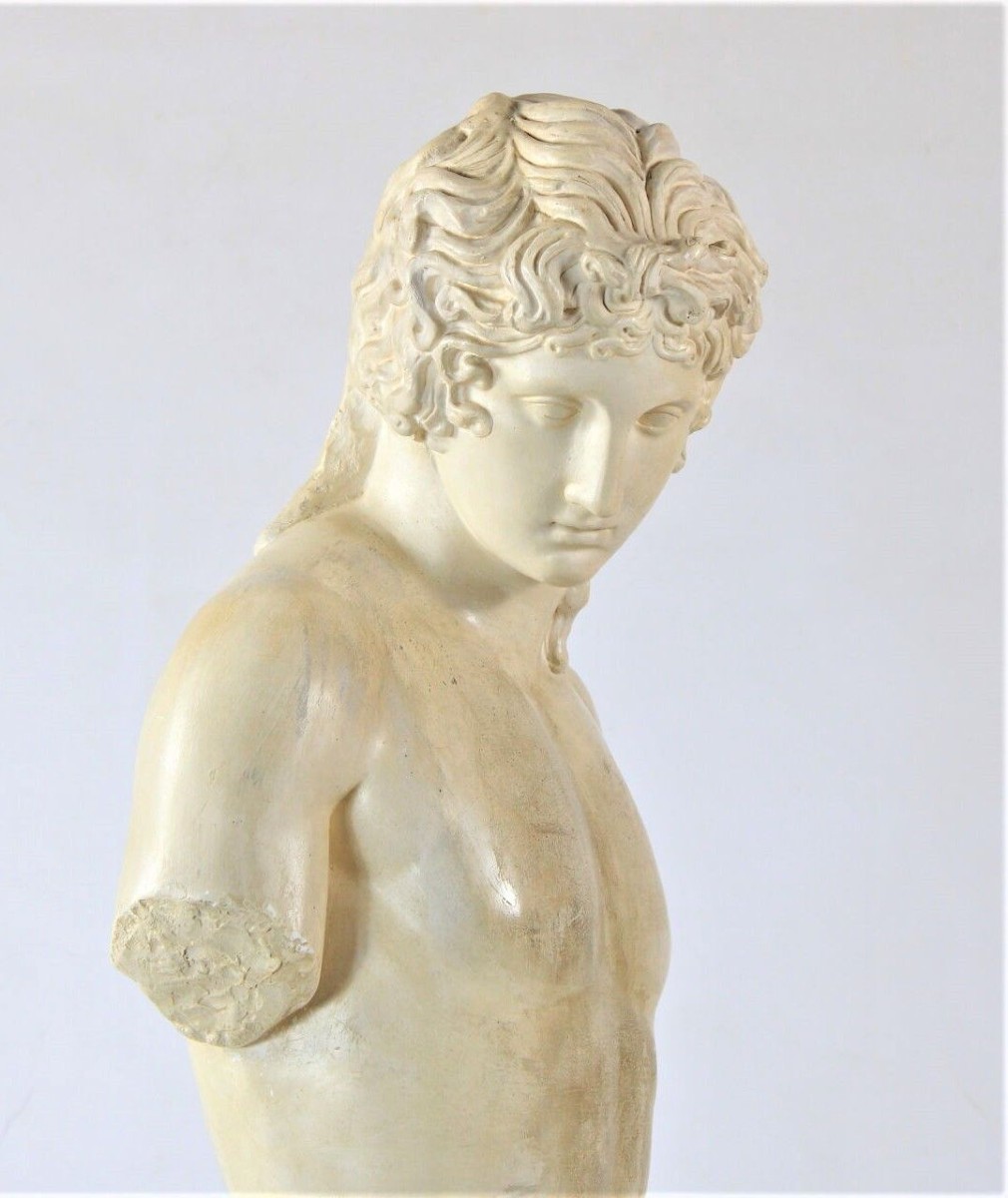 Busto Di gesso-photo-3