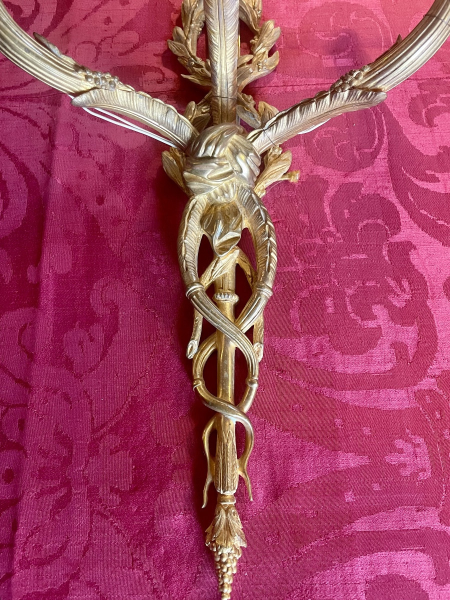 Coppia di applique Luigi XVI-photo-2