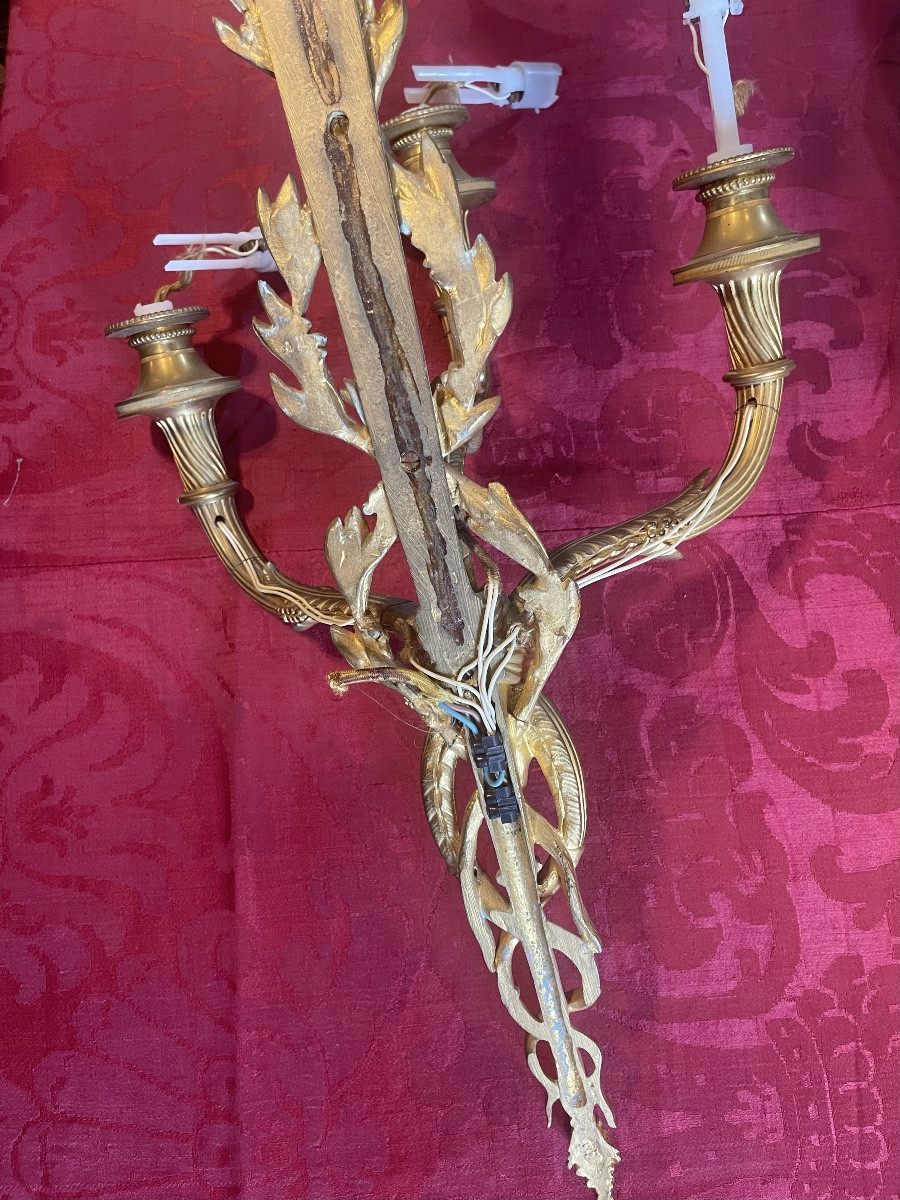 Coppia di applique Luigi XVI-photo-4