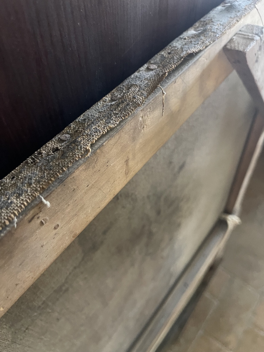 Olio su tela 700’-photo-3