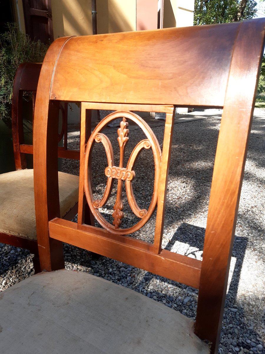 6 sedie directoire-photo-3