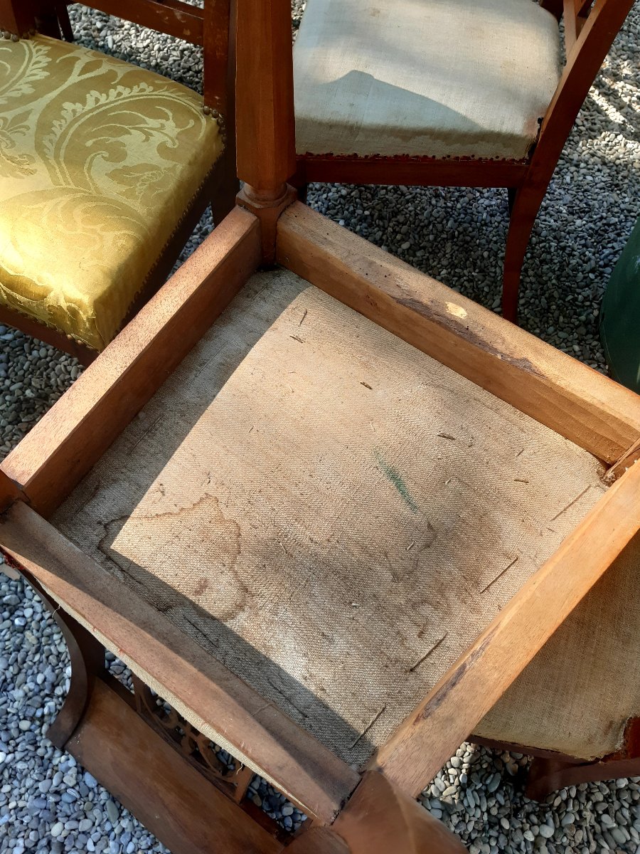 6 sedie directoire-photo-4