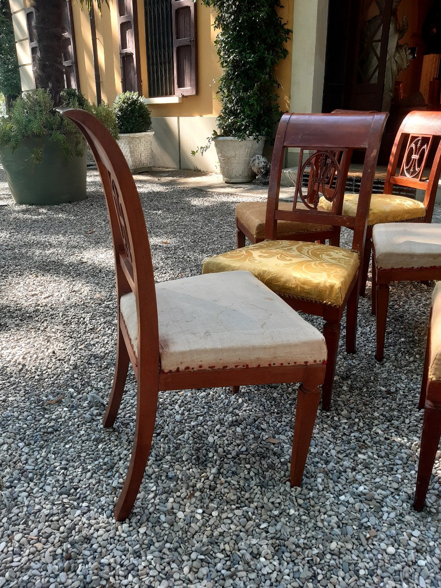 6 sedie directoire-photo-1