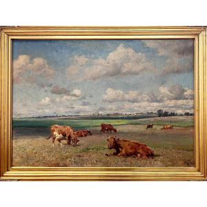 Paesaggio di mucche nel prato 