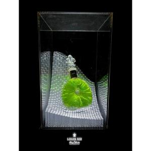 Circa 2000s Remy Martin Louis XIII Display Case And Bottle (dummy)