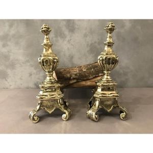 Antique Bronze Andirons From The 19th Century 