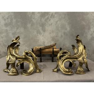 Pair Of Antique Bronze And Iron Andirons From The 19th Century