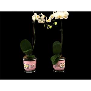 Pair Of Mini Pots In Vintage Porcelain 19th