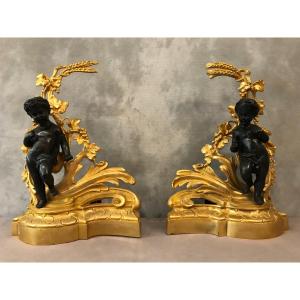 Pair Of Andirons In Gilded Bronze And Patinated Bronze From The 19th Century 