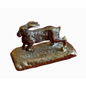 Vienna Bronze, Garenne Rabbit