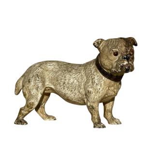 Rare Geschützt Vienna Bronze, Bulldog