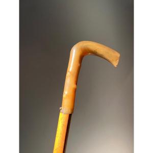 Sword Cane, Horn Handle, France, Late 19th.