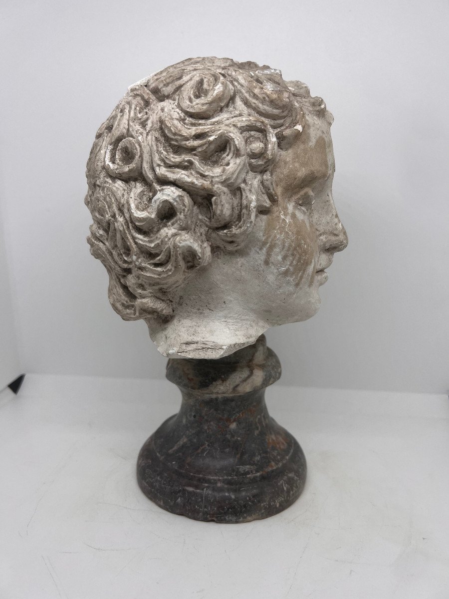 Da modello antico testa di Putto in gesso Italia XIX sec.-photo-2