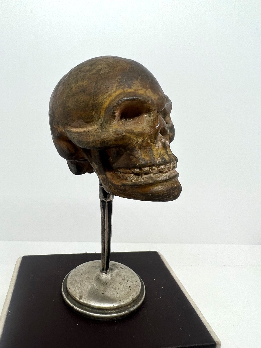 Terracotta del XVIII sec-photo-2