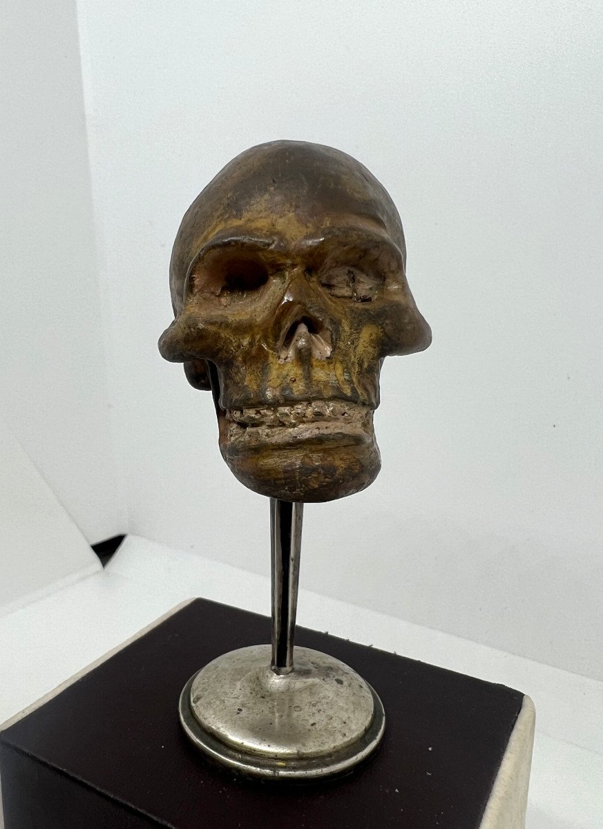 Terracotta del XVIII sec-photo-4