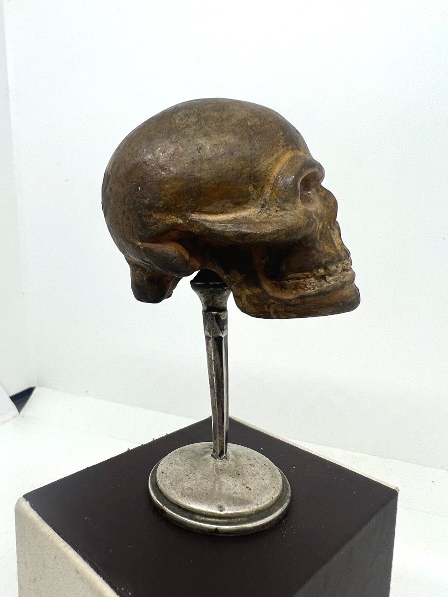 Terracotta del XVIII sec-photo-1