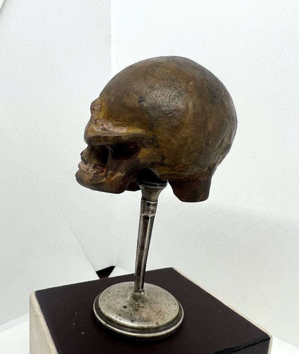 Terracotta del XVIII sec-photo-3