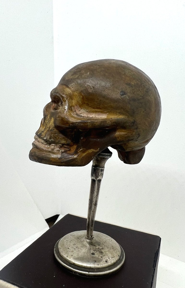 Terracotta del XVIII sec-photo-4