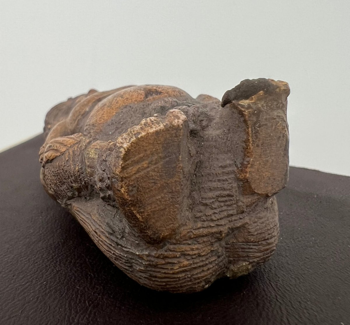 Figura Chandraketugarh  1 Sec AC-photo-4
