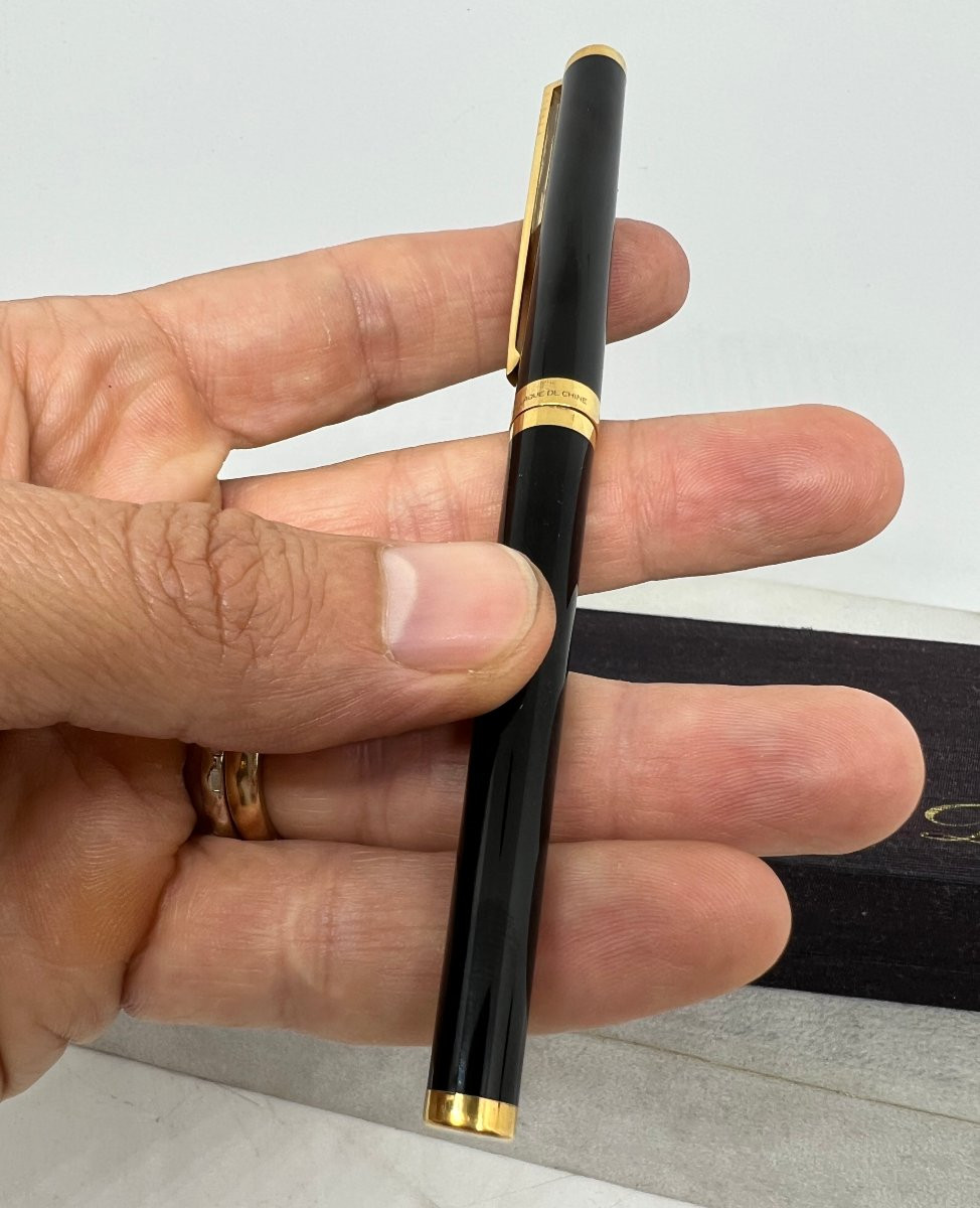 Dupont penna in argento -photo-7