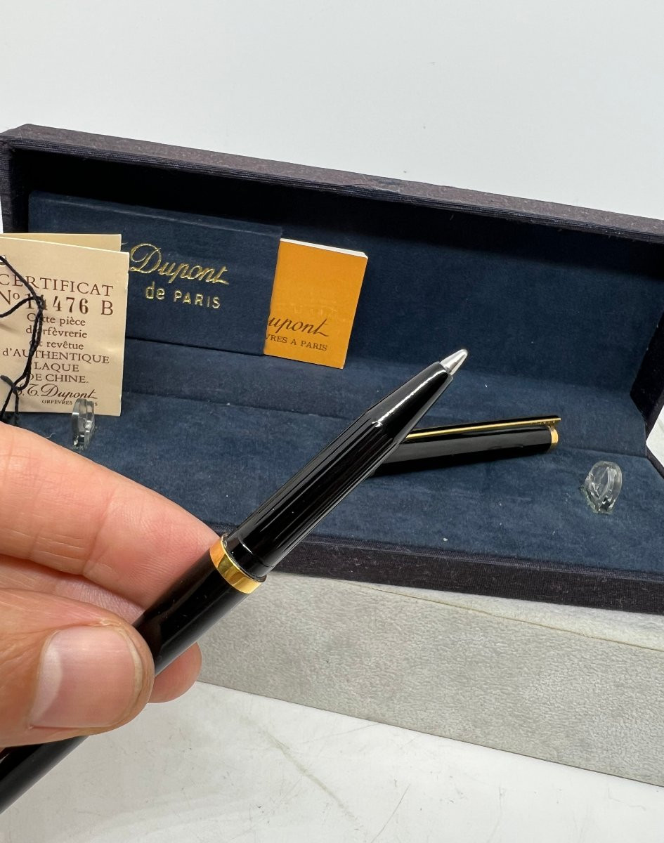 Dupont penna in argento -photo-8