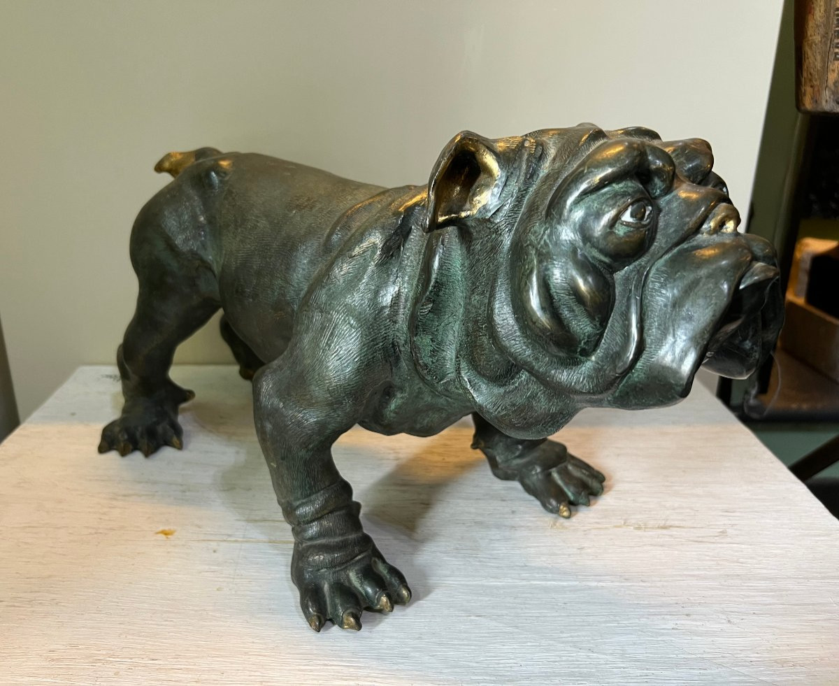 Bulldog Bronzo XX sec.-photo-2