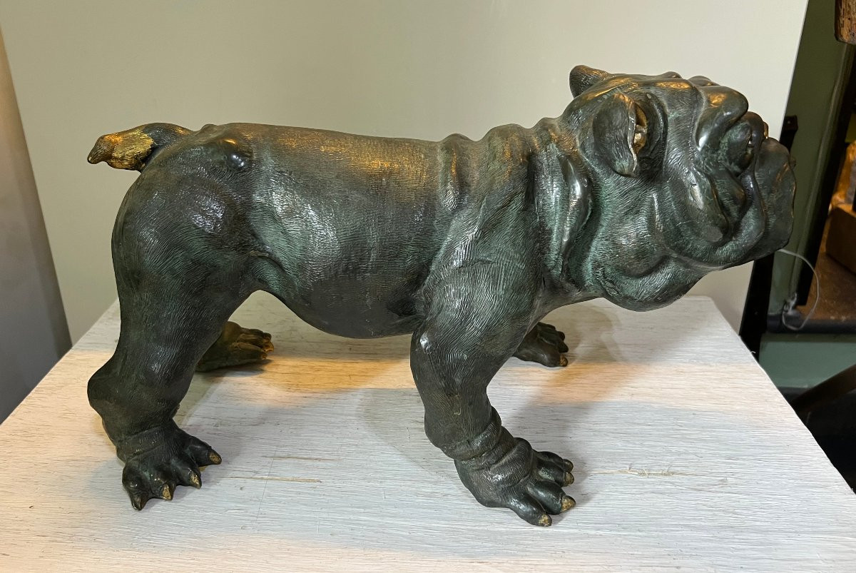 Bulldog Bronzo XX sec.-photo-3