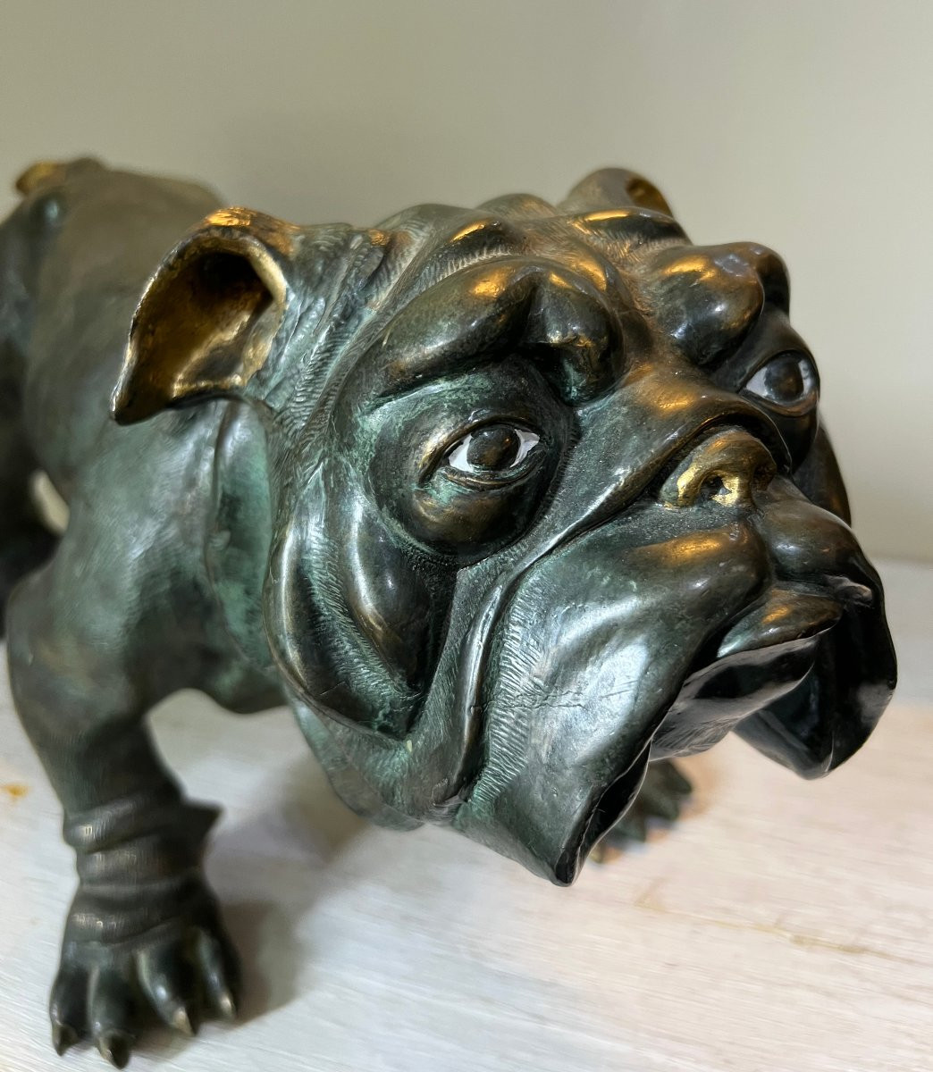 Bulldog Bronzo XX sec.-photo-4