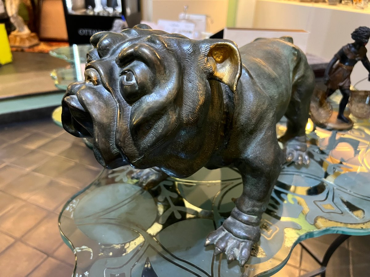 Bulldog Bronzo XX sec.-photo-1