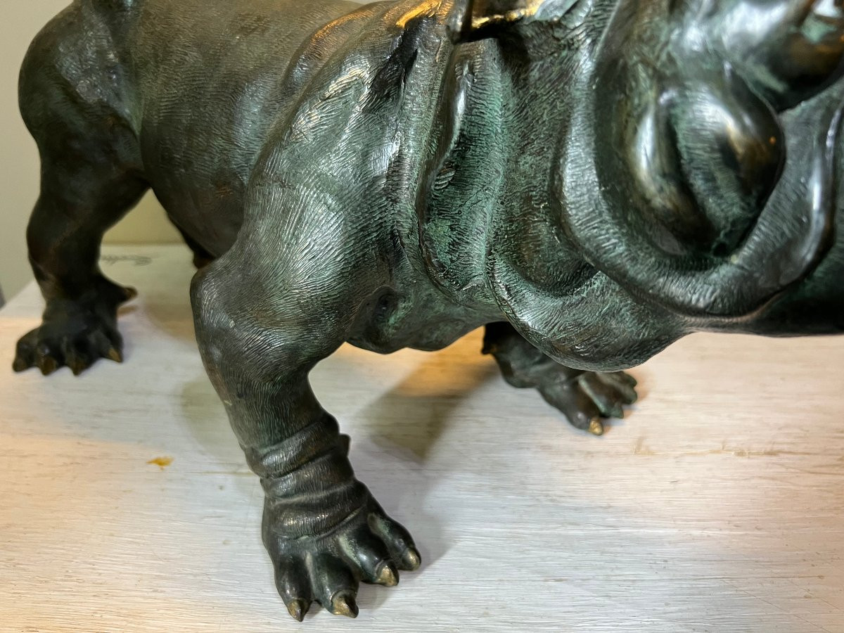 Bulldog Bronzo XX sec.-photo-2