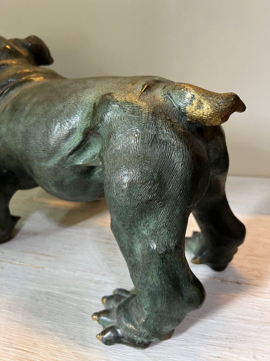 Bulldog Bronzo XX sec.-photo-3